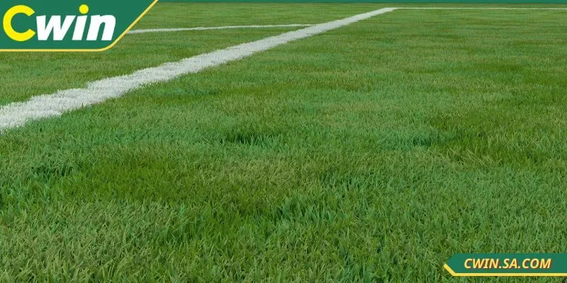 Cwin Kèo Nhà Cái Chuẩn Giúp Người Chơi Soi Hiệu Quả 4 Nắm ngay các chiến thuật CWIN kèo nhà cái chuẩn nhất