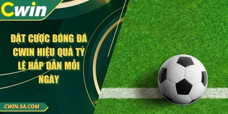 Đặt Cược Bóng Đá Cwin Hiệu Quả Tỷ Lệ Hấp Dẫn Mỗi Ngày