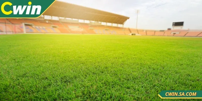 Soi Kèo Bóng Đá CWIN Chuẩn Xác Giúp Thắng Cược Hiệu Quả 2 Soi kèo bóng đá CWIN được nhiều người quan tâm